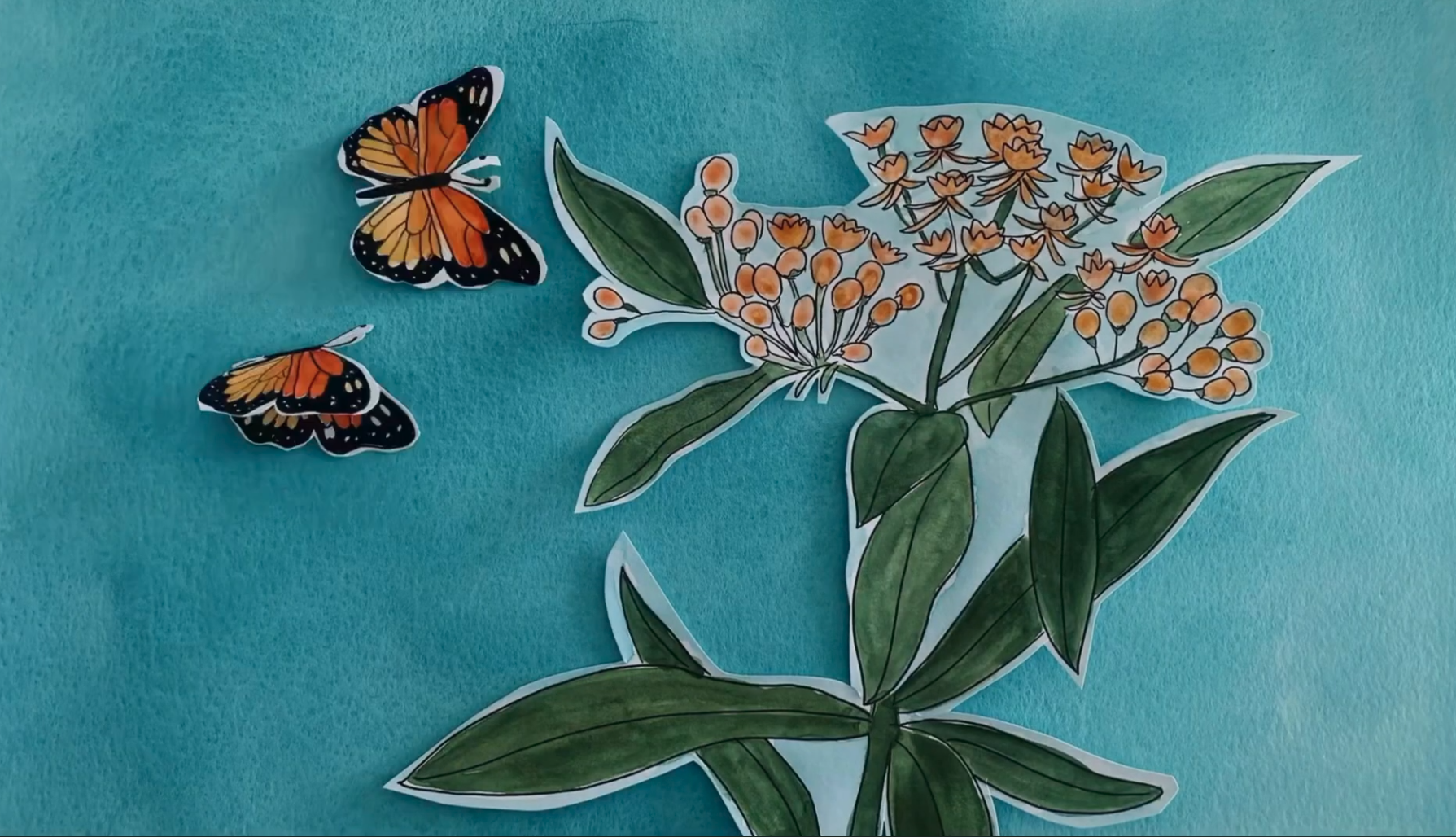 The Etobicoke Creek From Source to Shore