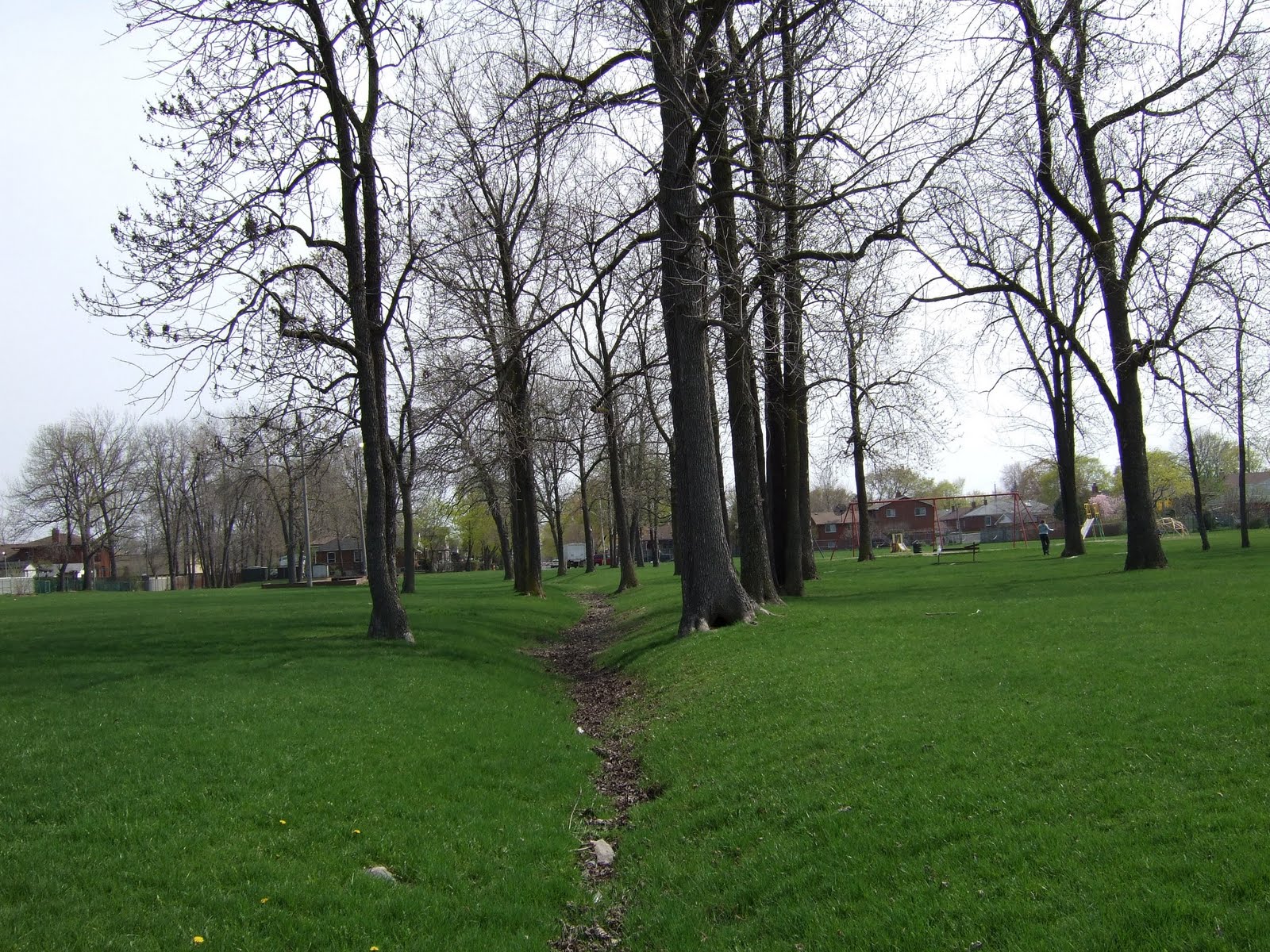 Jackson Creek through Douglas Park
