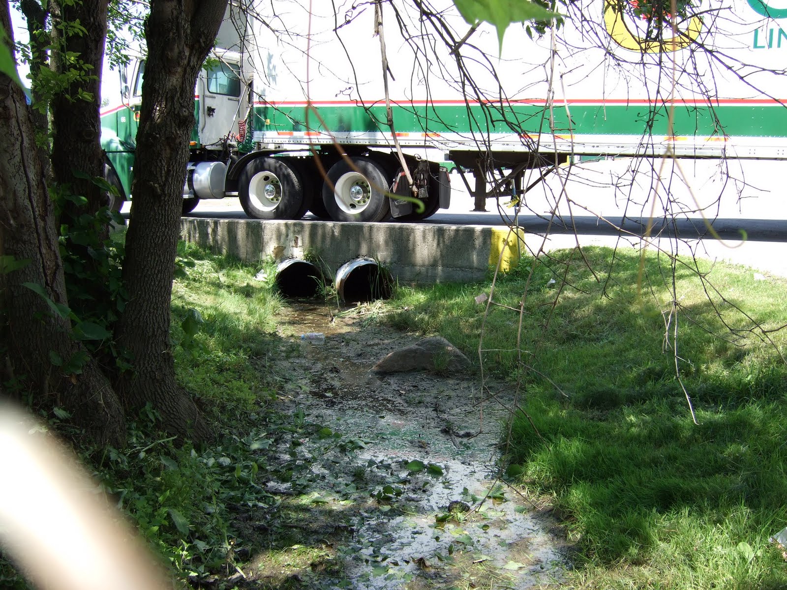 Jackson Creek flowing through culvert