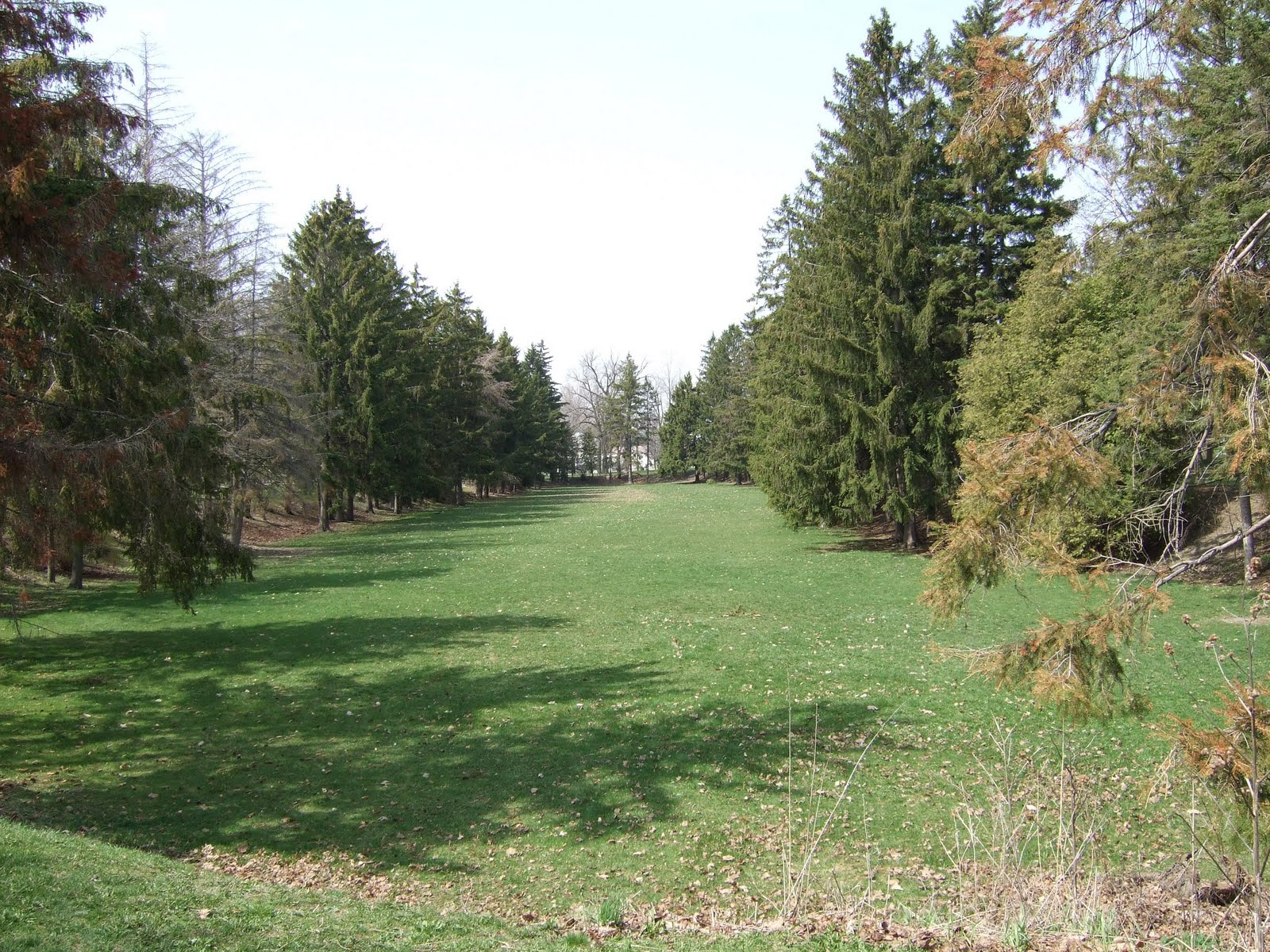 The Swale - former Jackson Creek valley